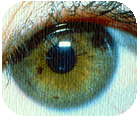 iridodijagnostika3